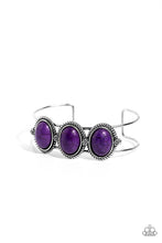 Load image into Gallery viewer, Paparazzi ♥ Badlands Backdrop - Purple ♥ B1169