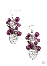 Load image into Gallery viewer, Paparazzi ♥ Fruity Finesse - Purple ♥ E965
