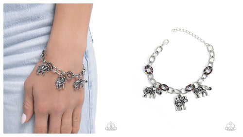 Paparazzi ♥ Follow the Herd - Orange ♥ B1000