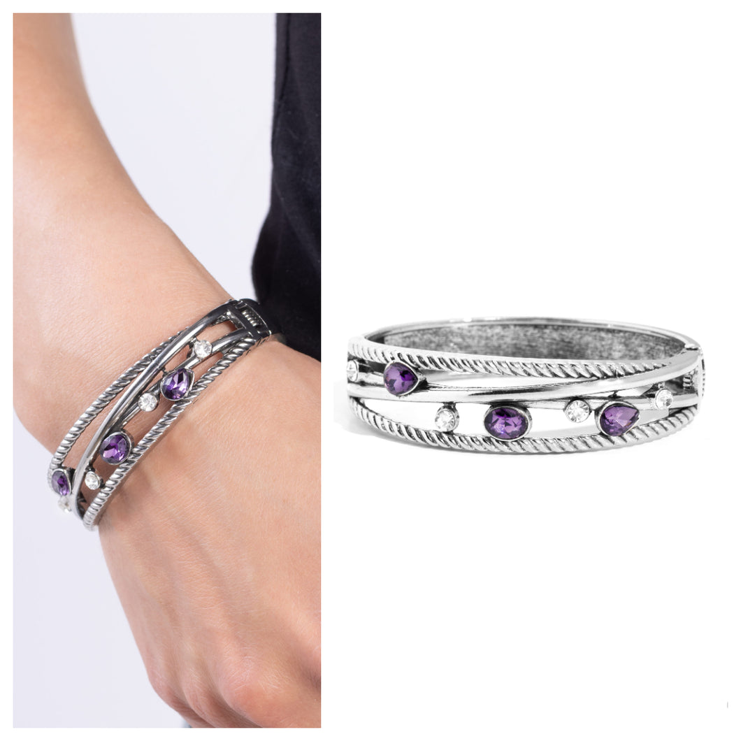 Paparazzi ♥ Bonus Bling - Purple ♥ B805