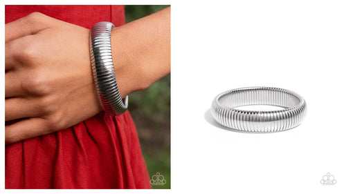 Paparazzi ♥ Flashy Fringe - Silver ♥ B965