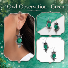Load image into Gallery viewer, Paparazzi ♥ Owl Observation - Green ♥ E2326