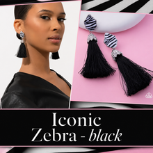 Load image into Gallery viewer, Paparazzi ♥ Iconic Zebra - Black ♥ E2306