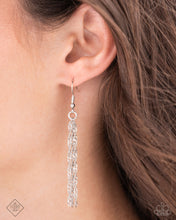 Load image into Gallery viewer, Paparazzi ♥ Eagle Exception - Silver ♥ N2500