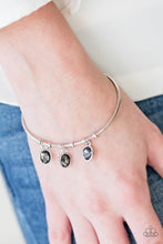 Load image into Gallery viewer, Sparkling Splendor - Silver