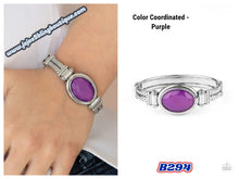 Load image into Gallery viewer, Color Coordinated - Purple B294