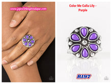 Load image into Gallery viewer, Color Me Calla Lily - Purple R197